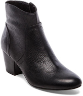 Thumbnail for your product : Steve Madden Porcha Bootie