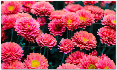 Picture-Tiles.com 8'' x 8'' Satin Ceramic Decorative Mural