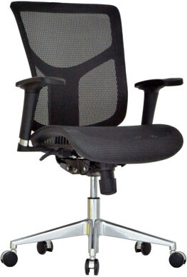 Symple Stuff Scarlette Ergonomic Mesh Task Chair