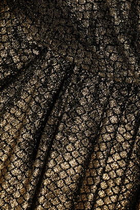 Alberta Ferretti Wrap-effect devoré-velvet gown