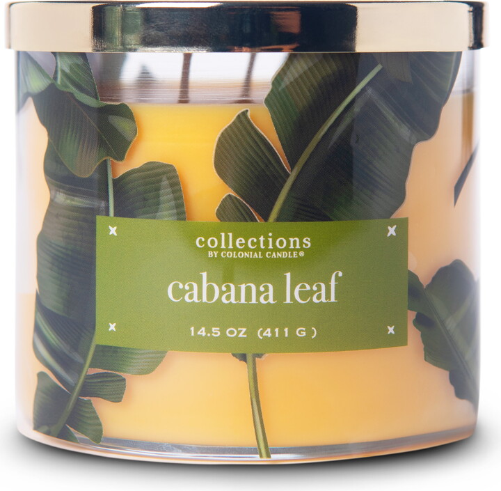 Colonial Candle Cabana Leaf 14.5oz 3 Wick Candle, Multicolor
