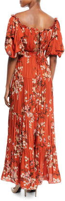 Johanna Ortiz Viajes Del Alma Off-the-Shoulder Short-Sleeve Floral-Print Silk Georgette Pleated Gown