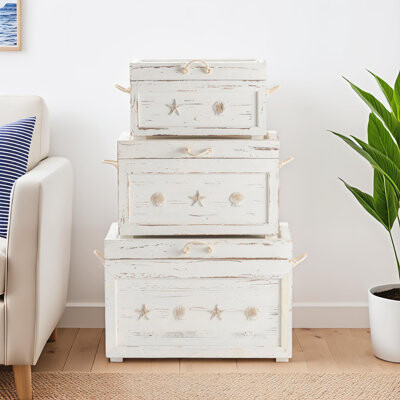 Beachcrest Home Banta 3 Piece Trunk Set