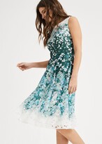Thumbnail for your product : Phase Eight Angela Lace Dress