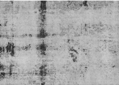 Williston Forge Brisha Area Rug in Gray