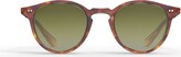 Thumbnail for your product : Mr. Leight Marmont Ii S Cacao Tortoise-antique Gold Sunglasses