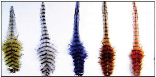 Montana Fly Co Montana Fly Barred Saddle Hackle Feathers