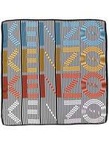 Thumbnail for your product : Kenzo striped logo scarf