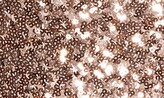 Thumbnail for your product : ASOS DESIGN Sequin Pencil Skirt