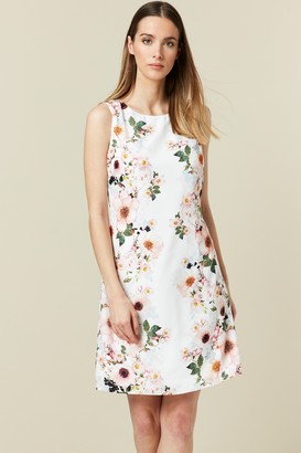Wallis White Floral Print Shift Dress