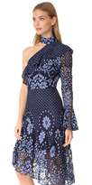 Thumbnail for your product : Parker Rine Dress