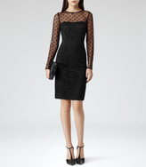 Thumbnail for your product : Reiss Diana POLKA DOT AND LACE DRESS