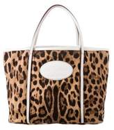 Thumbnail for your product : Dolce & Gabbana Animalier Canvas Tote