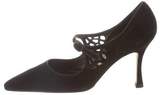 Thumbnail for your product : Manolo Blahnik Pointed-Toe Suede Pumps