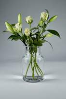 Thumbnail for your product : Linea Clear bottle vase 25cm