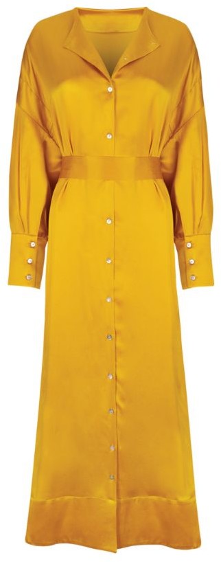 silk button up dress