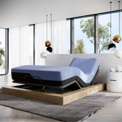 Brayden Studio Adjustable Base And 12 Inch Mattress For Queen - Blue Cover, Foam, Spinal Alignment Memory Foam With 6-Layer Construction, Snore Feature, Support