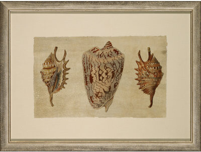 Wendover Art Group Crackled Triple Shell 2 - Picture Frame Painting on Paper