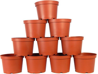 Ophelia & Co. 6 Inch Plastic Pot Terra Cotta (10 Pack)