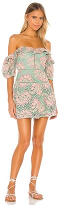 Lovers + Friends Lovers and Friends Midvale Mini Dress