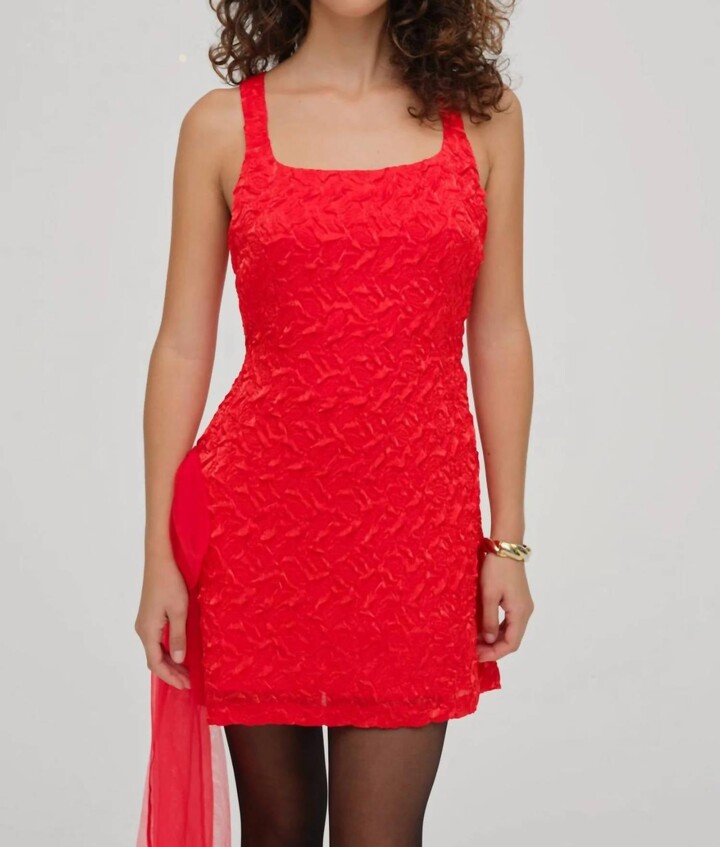 For Love & Lemons Frosted Organza Mini Dress In Red