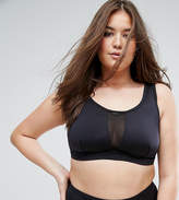 Thumbnail for your product : ASOS Curve Mesh Insert Supportive Crop Bikini Top