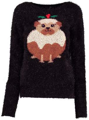 boohoo Pug Christmas Pudding Fluffy Knit Jumper