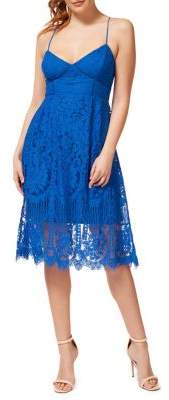 Dex Lace Cotton Blend Fit Flare Dress