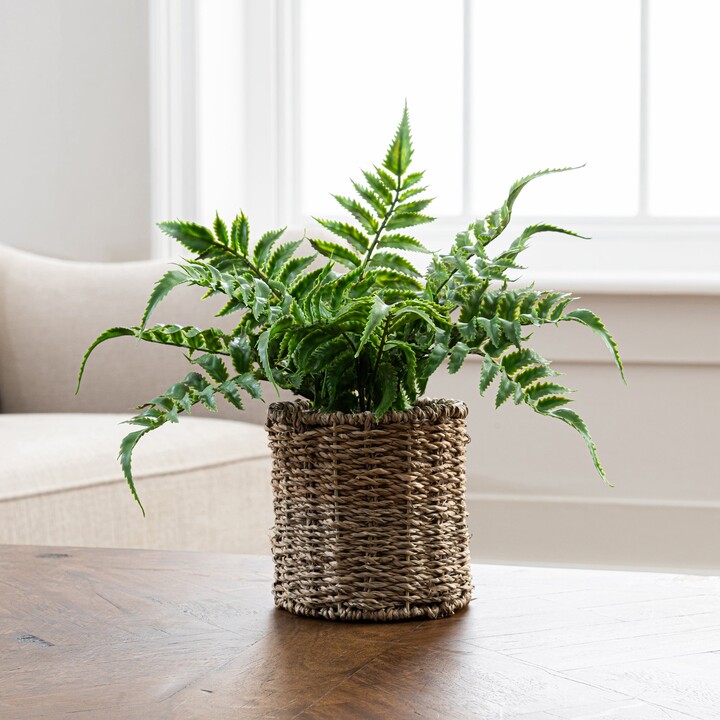Dunelm Artificial Fern Green in Rattan Pot 30cm Green ShopStyle Decor