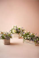 Thumbnail for your product : Woodland Box Planters