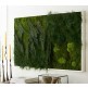 Thumbnail for your product : Viva Terra Fern and Moss Wall Art