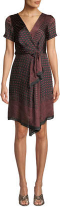 club monaco tarteen dress