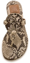 Thumbnail for your product : Tory Burch Miller Snake Print Thong Sandals