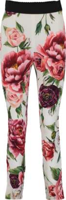 Dolce & Gabbana Floral Print Legging