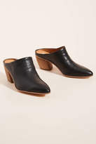franco sarto irma mule