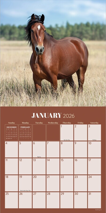 TFPublishing 2026 Horses Wall Calendar