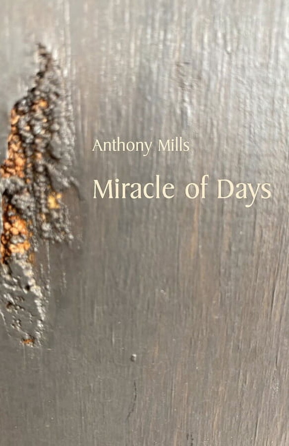 Miracle of Days (Paperback)