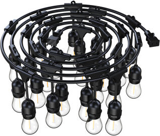 Ebern Designs 48' 24-light Café String Light