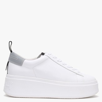 ash platform trainers