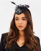 Thumbnail for your product : Maxine Fascinator