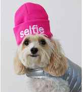 Thumbnail for your product : American Eagle American Beagle Outfitters Selfie Beanie