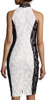 Thumbnail for your product : Jax Halter-Neck Paneled Lace Dress, Ivory/Black