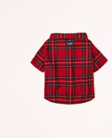 Thumbnail for your product : A&F Pet Flannel