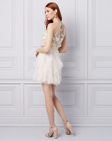Thumbnail for your product : Le Château Embroidered Mesh Fit & Flare Party Dress