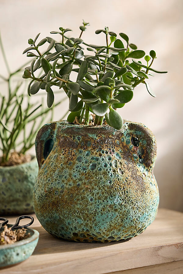 Barnacle Amphora Pot
