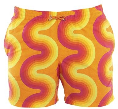 dries van noten swim trunks