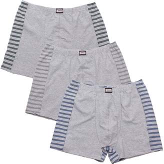 FTSD - FindTheSecretDreams 3-pack boxer shorts for men also Oversized no. 435 ( Gray / L)