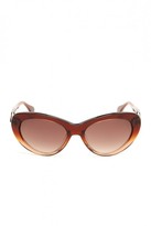 Thumbnail for your product : Just Cavalli Women's Dark Brown Fade Plastic Sunglasses