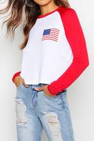 Thumbnail for your product : boohoo American Flag Raglan Printed T-Shirt