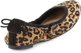 Thumbnail for your product : Cole Haan Ashlyn Leopard-Print Calf Hair Ballet Flat, Black